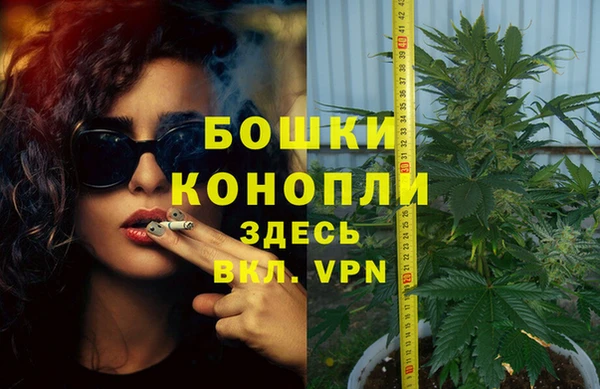 дурь Пестово