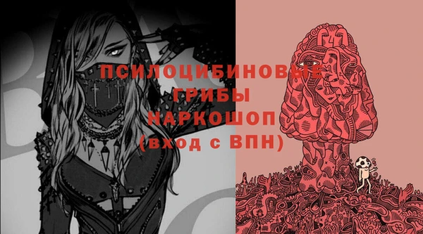 синтетический гашиш Богородск