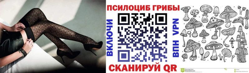как найти наркотики  Бологое  Галлюциногенные грибы Psilocybine cubensis 